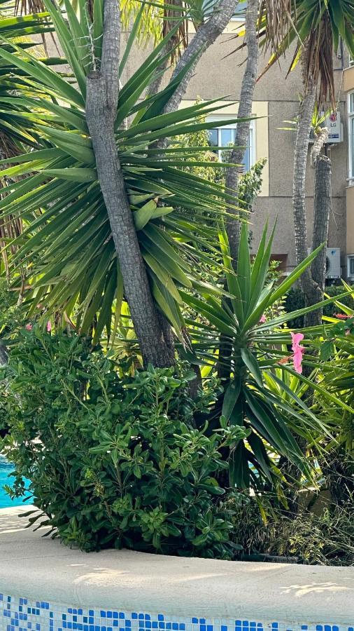 La Rosaleda 17 Διαμέρισμα Denia Εξωτερικό φωτογραφία